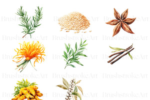 Watercolor Spice Clipart Pack