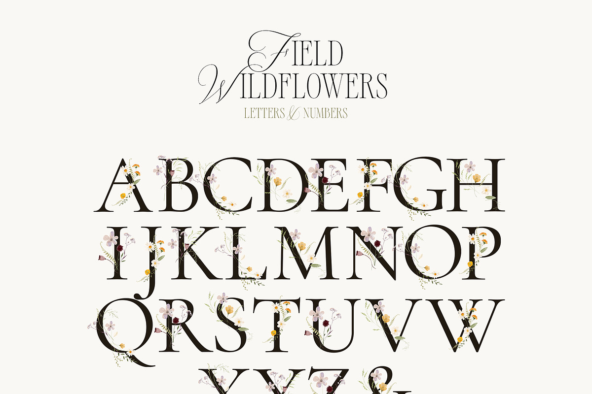 FIELD WILDFLOWERS watercolor, a Decorative Illustration by Lana Elanor (Photo 10 of 12)