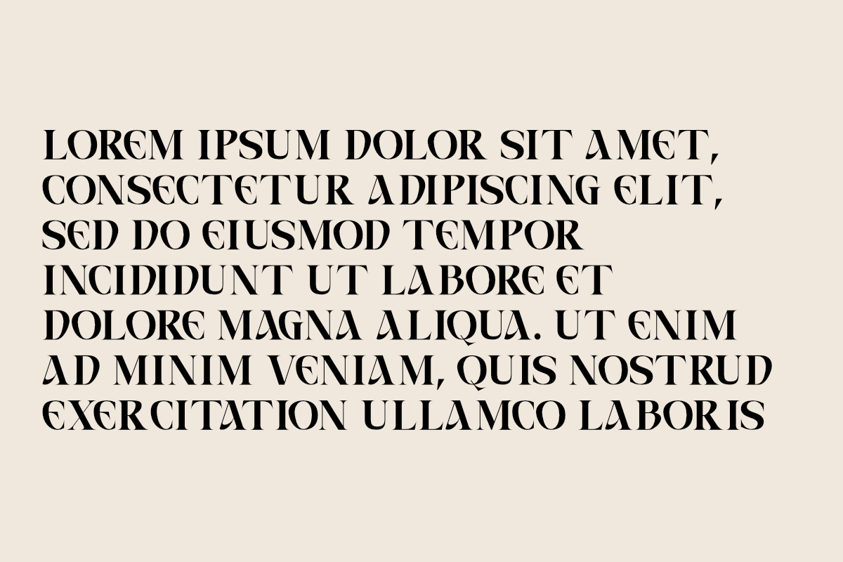 Caelvin – Modern Editorial Serif, a Serif Font by Muksal Creative (Photo 8 of 10)