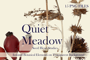 Quiet Meadow – Seed Head Studies, an Object Graphic by Aga Silva (Thumbnail 3 of 4)