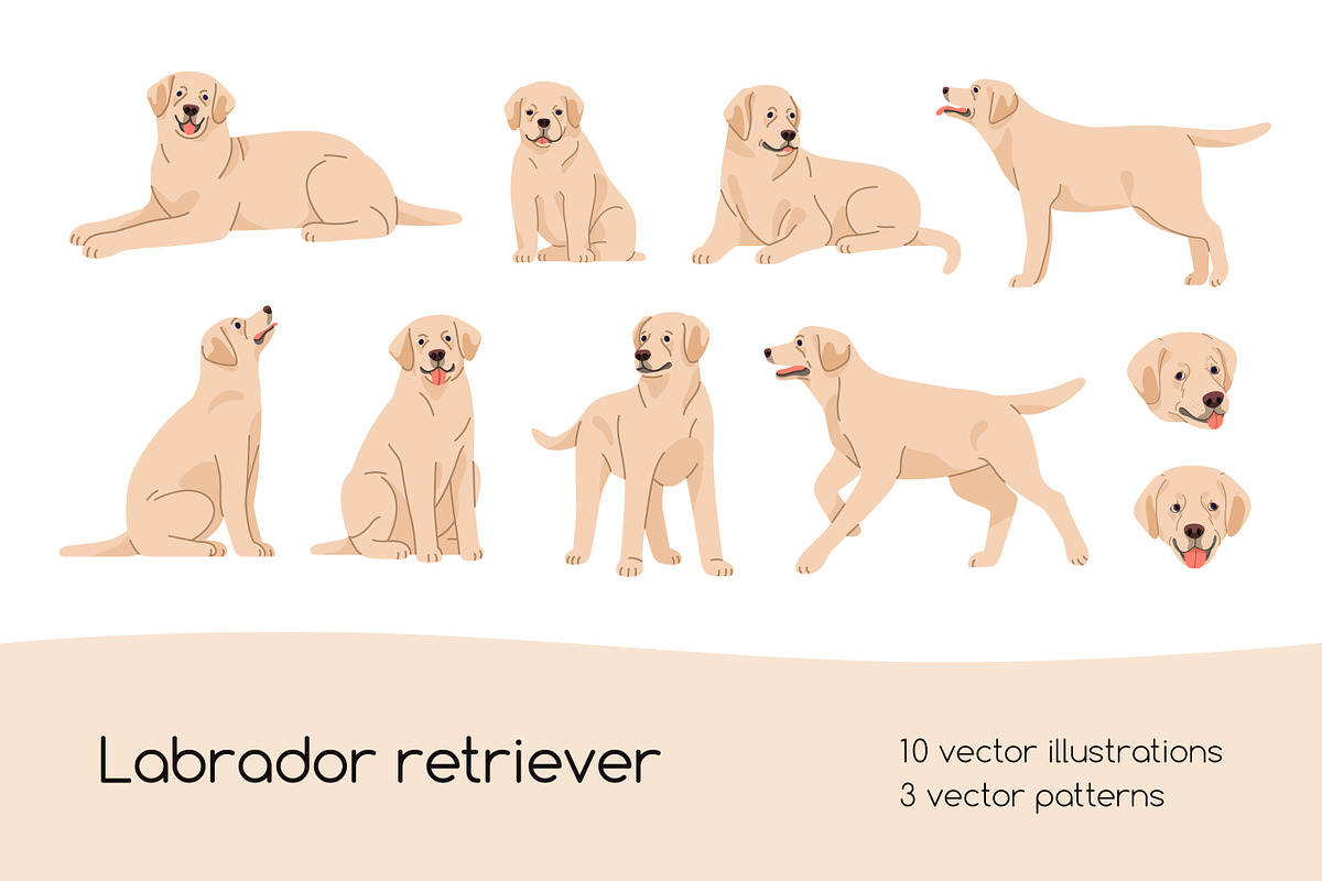 Labrador retriever dog set, patterns, an Animal Illustration by Good Studio (Photo 1 of 11)