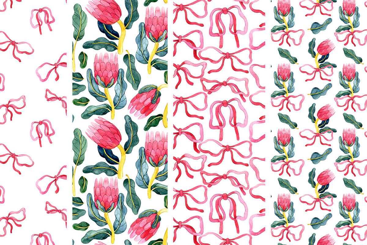 Protea flowers and bows, a Decorative Illustration by made by Tanya (Photo 3 of 4)