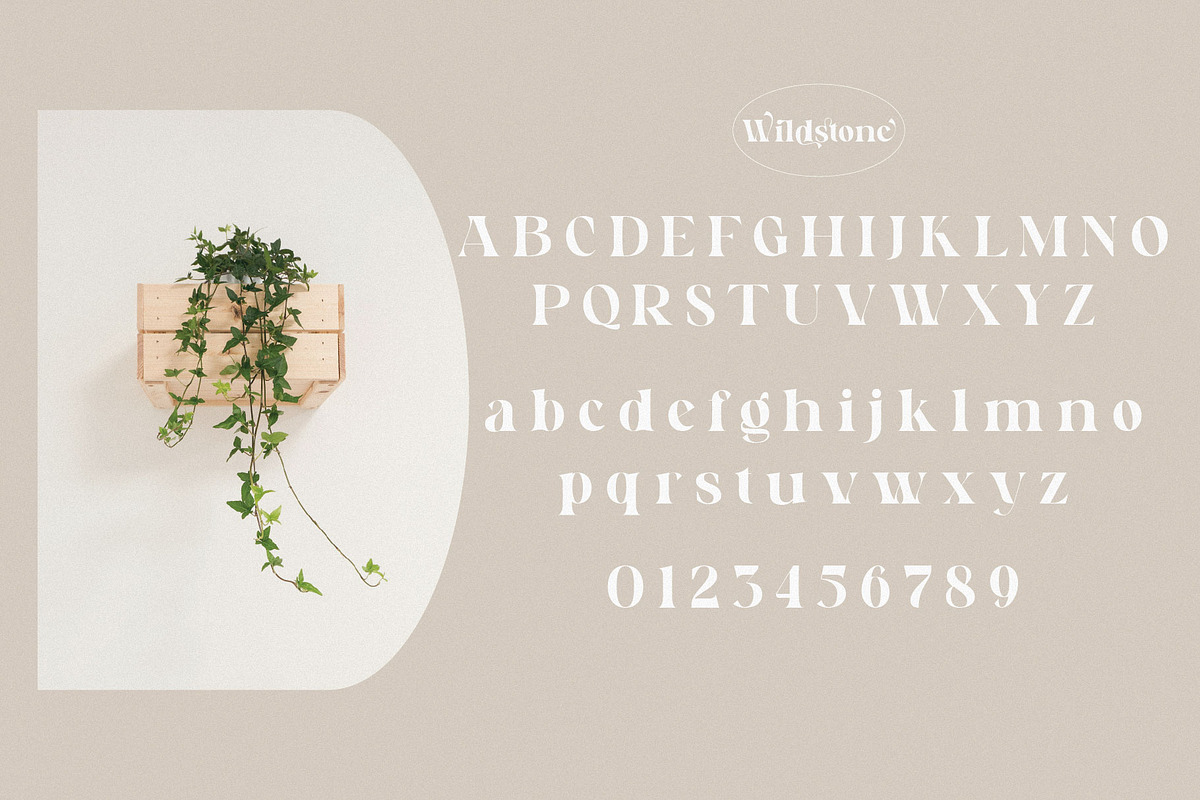 Wildstone - Ligature Serif Typeface, a Serif Font by BrandSemut (Photo 8 of 10)