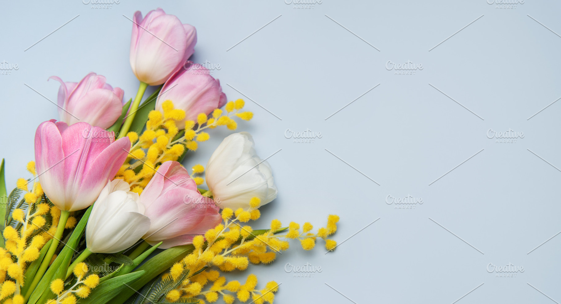 Pink and white tulips and mimosa flowers forming a bouquet on bl, a Holiday Photo by Olena Rudo