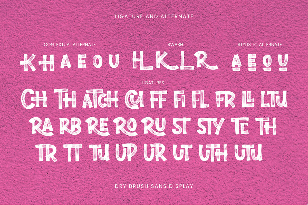 Nidella - Dry Brush Display Sans, a Sans Serif Font by Inviline.co (Photo 5 of 12)