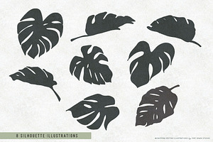 Monstera Leaf Vectors And Patterns