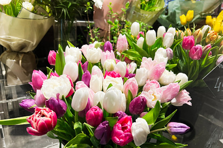 Assorted tulip bouquets displayed in a vibrant and colorful floral arrangement, a Photo by AS photostudio