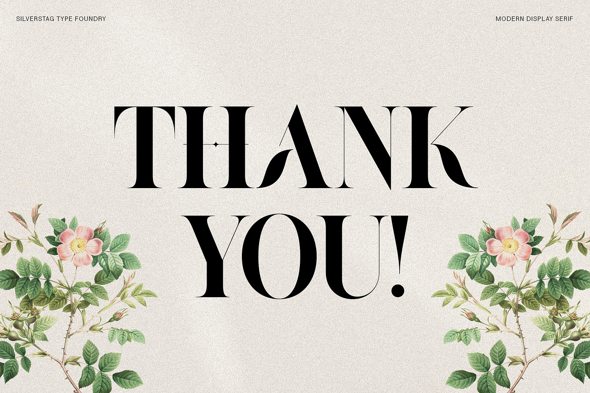 Raving Display Editorial Serif Font, a Serif Font by SilverStag Type Foundry (Photo 20 of 30)