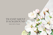 Sakura Bloom - Cherry Blossom, a Decorative Illustration by ThaismotaCreativeCo (Thumbnail 9 of 9)