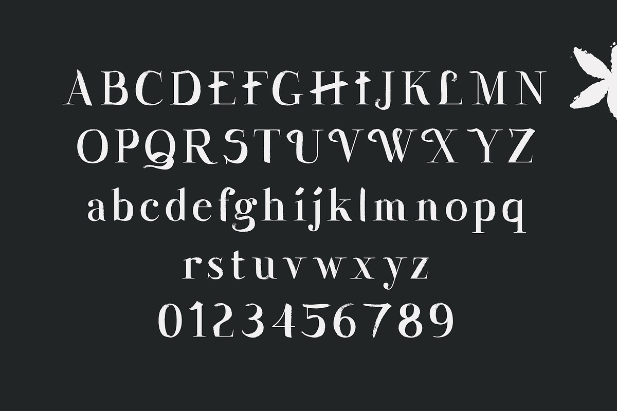 Wesloy dry brush serif font, a Serif Font by kaer_shop (Photo 7 of 9)