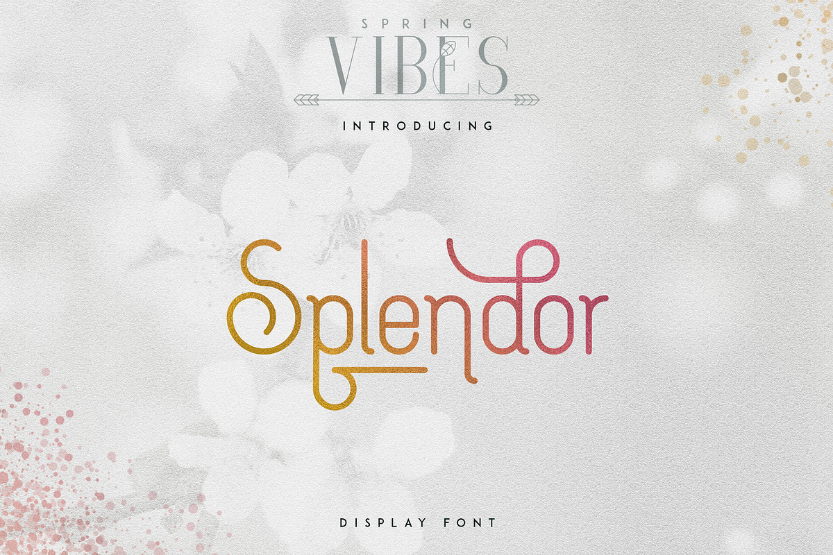 Massive Font Bundle - 197 fonts, a Script Font by VP Fonts (Photo 49 of 55)