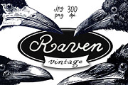 Raven vintage illustrations, an Animal Illustration by zurzur (Thumbnail 1 of 3)