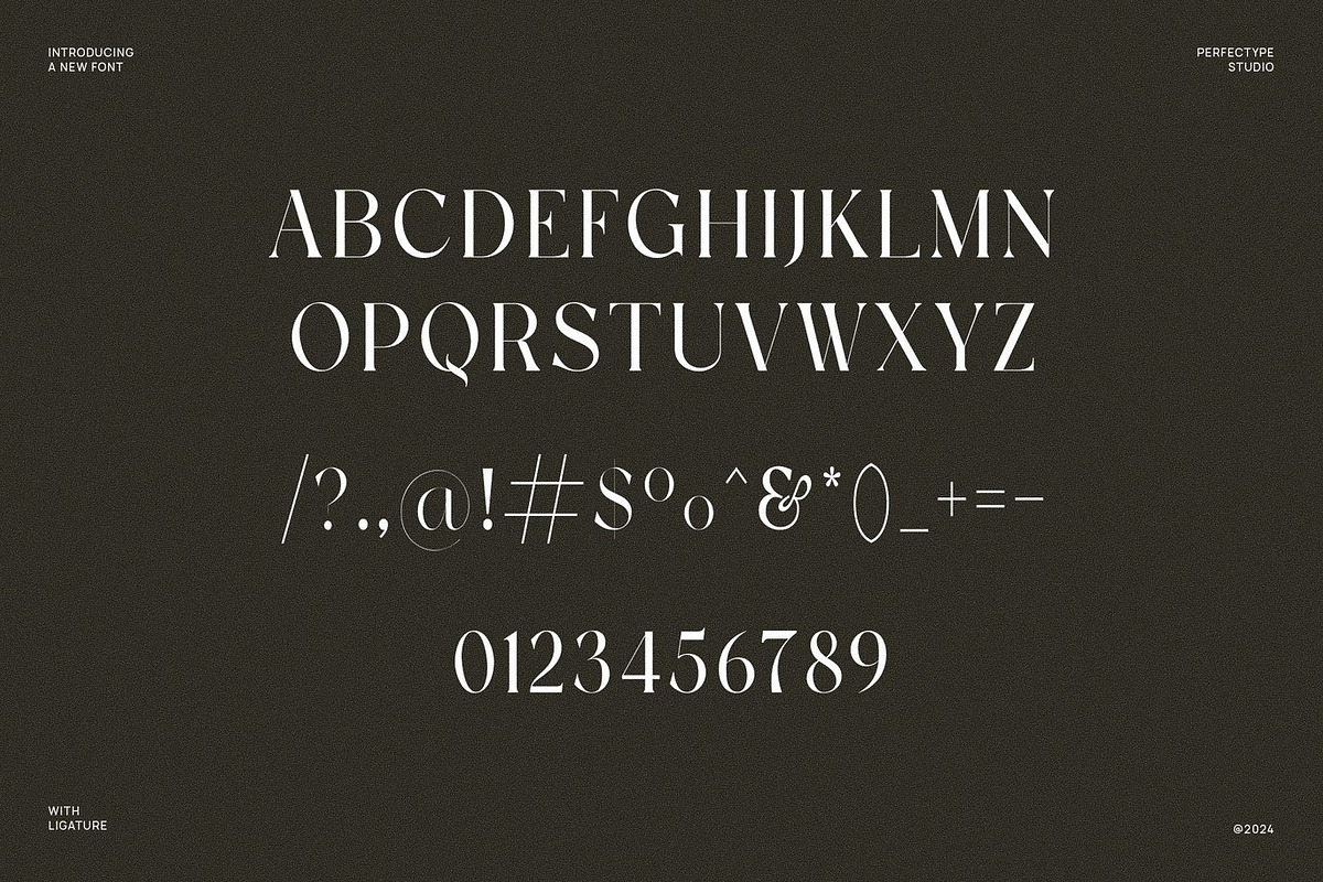 Pros - Elegant Serif, a Serif Font by Luna Shop (Photo 2 of 6)