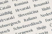 Bloryn — Elegant Serif Font, a Serif Font by Only Fonts (Thumbnail 6 of 11)