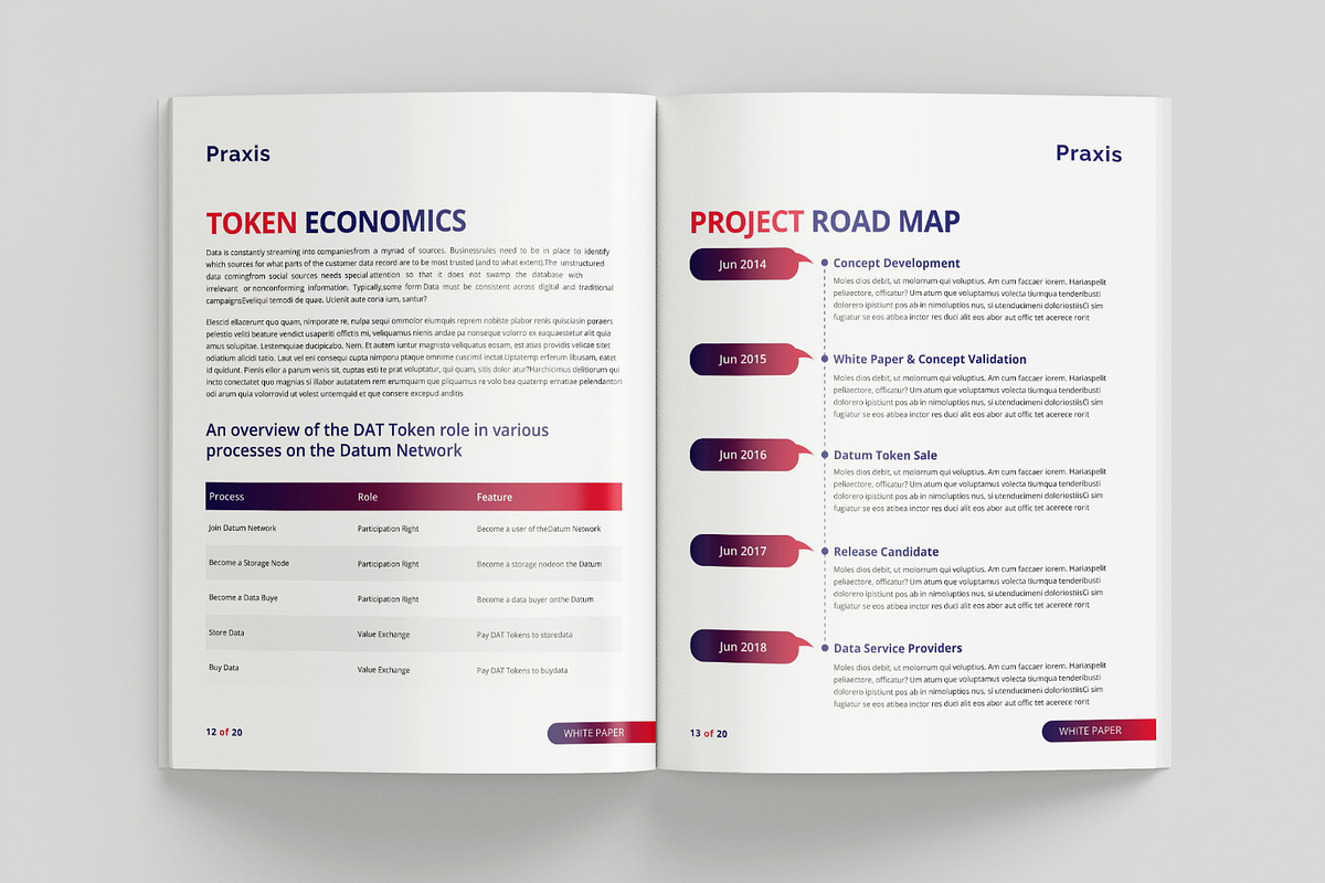 White Paper Template, a Brochure Template by azadcsstune (Photo 12 of 12)