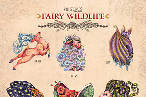 Fairy Wildlife