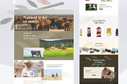 Mega UI Website Template Bundle, a Landing Page Template by DesignsLab (Thumbnail 20 of 22)