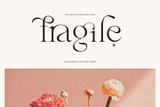 Fragile - Modern Serif, a Serif Font by Sans & Sons (Thumbnail 1 of 10)