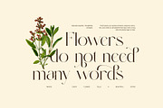 Rinda Luxury Serif Display Font, a Serif Font by Perfectype (Thumbnail 4 of 8)