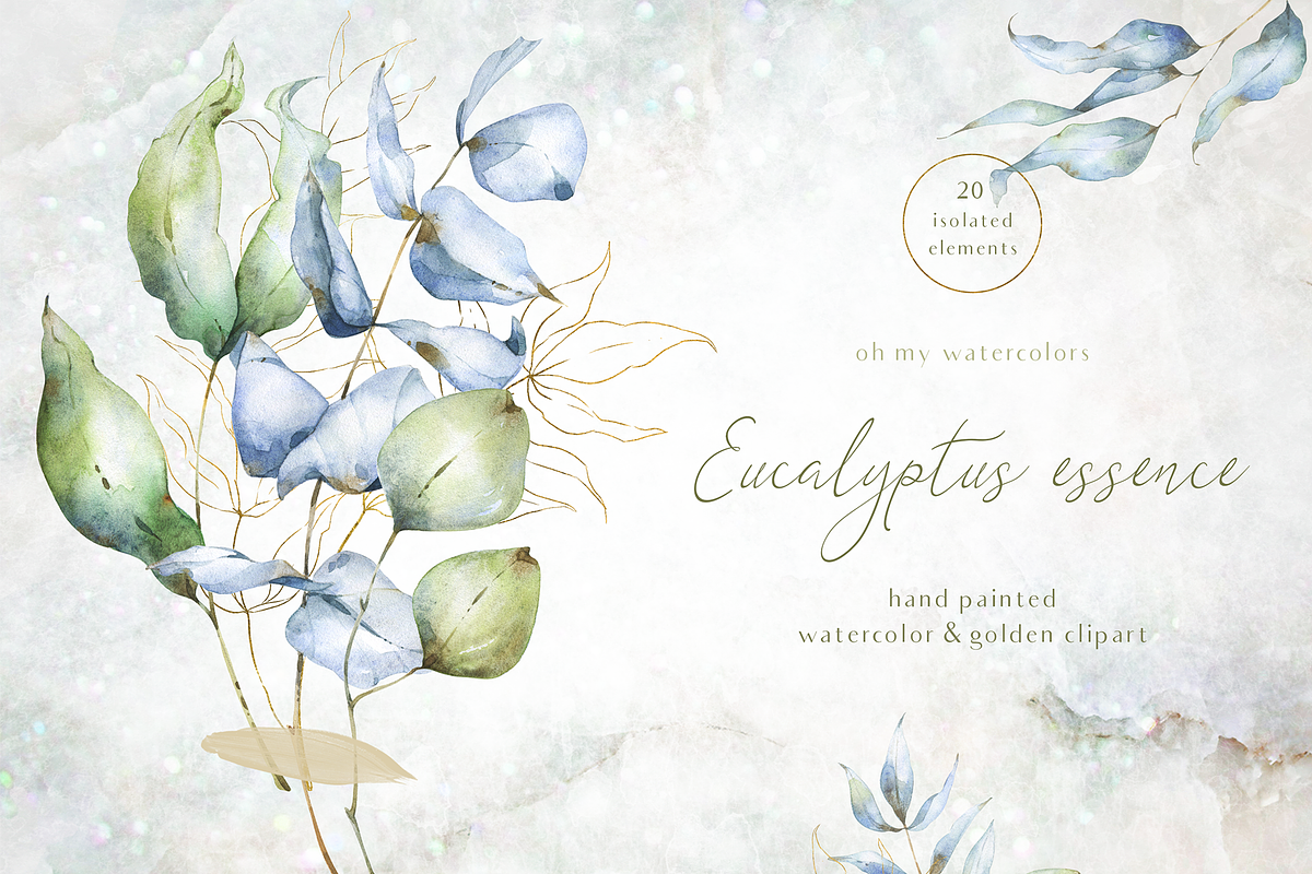 Eucalyptus essence watercolor set, an Illustration by Tatiana Troian (Photo 1 of 4)