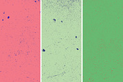 GSTC - Stone bench textures, a Texture Graphic by The Shop (Thumbnail 70 of 80)