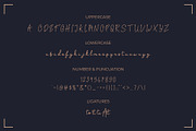 Eaglind | modern script fonts, a Script Font by Lightsense (Thumbnail 9 of 10)