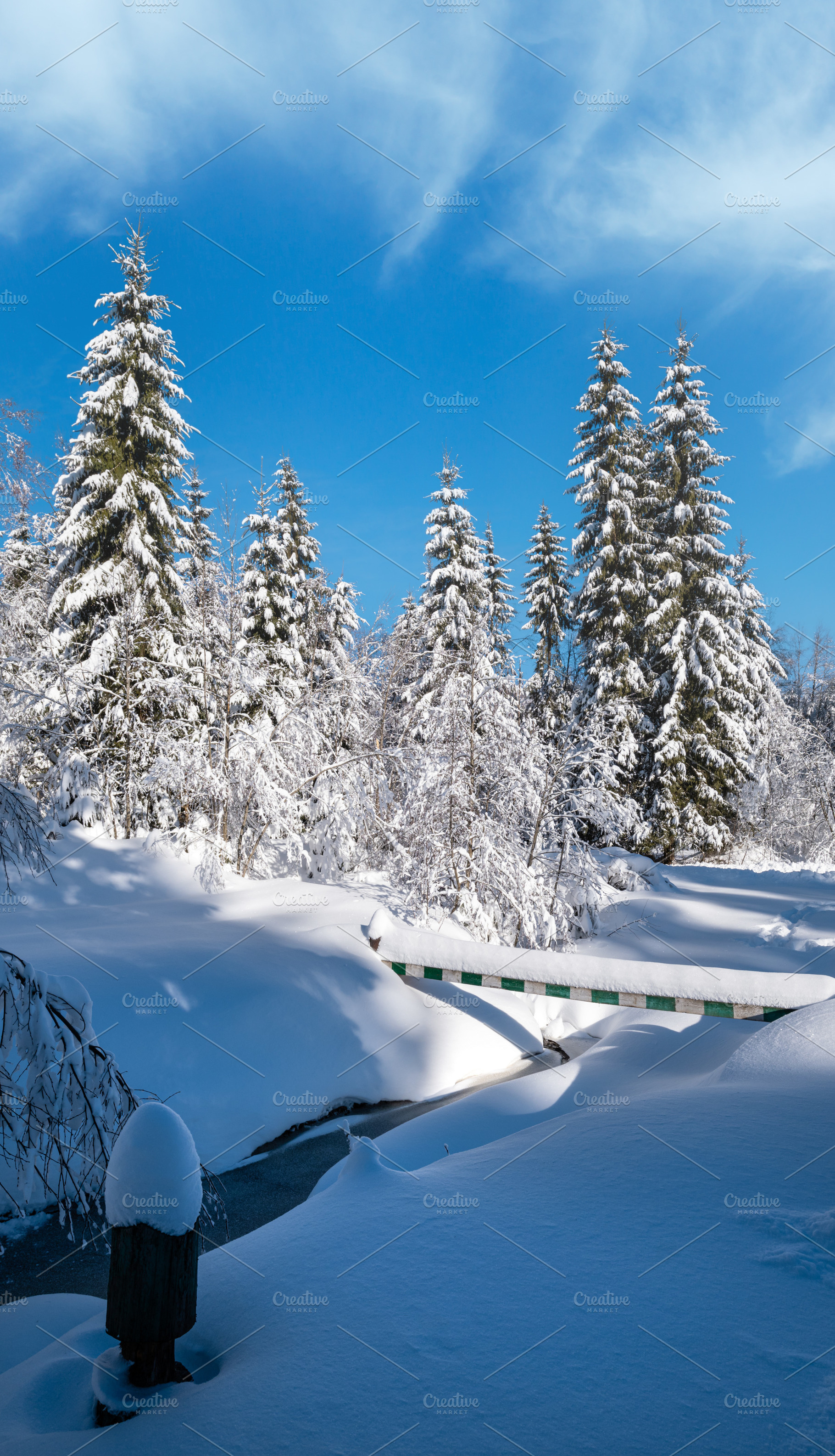 Alpine mountain snowy winter fir forest with snowdrifts and froz, a Nature Photo by YuriyB
