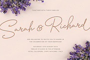 Bonita Melodia Script, a Script Font by Andrey Sharonov (Thumbnail 3 of 13)