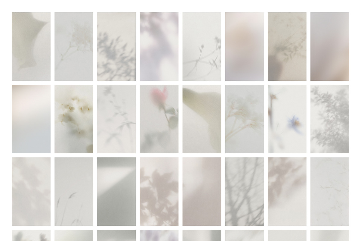 Blur Botanical Vellum Backgrounds, a Background Graphic by alonahaidash (Photo 12 of 14)