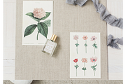 Natural Beauty stock collection SALE, a Books & Magazine Mockup by Nellaino (Thumbnail 2 of 7)