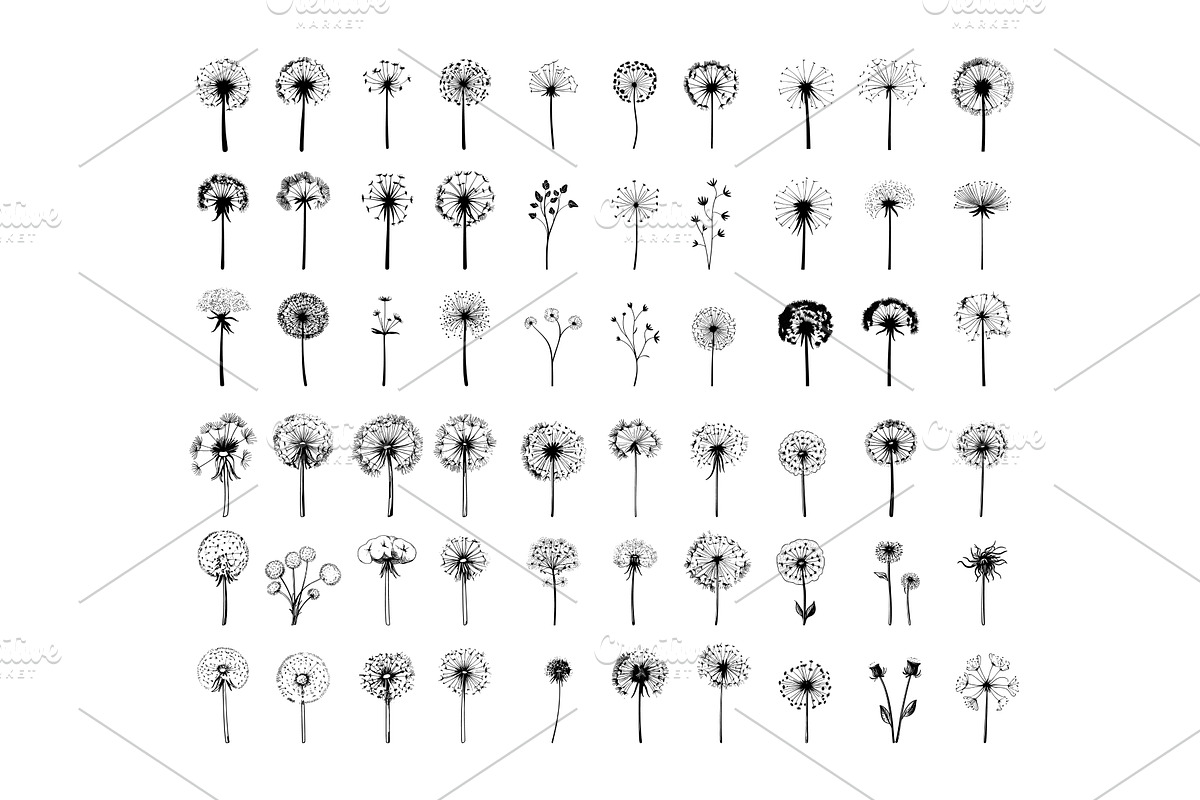 Fluffy dandelion black ink vector, an Object Illustration by Onyx