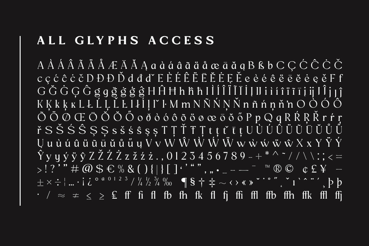 Mizhon Serif | 12 Font, a Serif Font by Skinny Type (Photo 4 of 8)