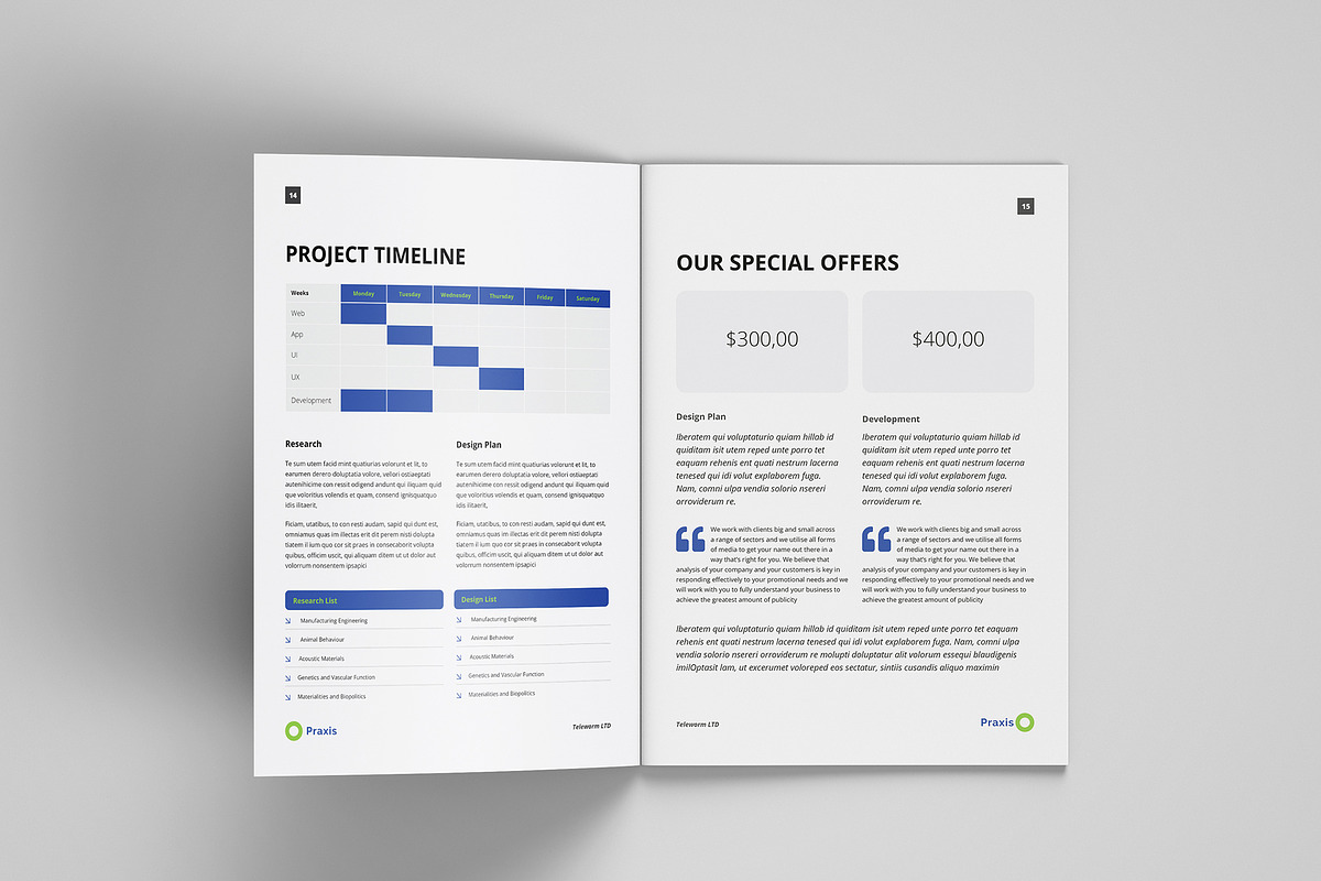 Project Proposal, a Brochure Template by azadcsstune