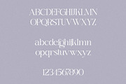 Melange - Elegant Serif, a Serif Font by Mikhail Kitsune (Thumbnail 7 of 8)