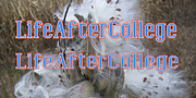 LifeAfterCollege, a Slab Serif Font by Ingrimayne Type (Thumbnail 1 of 8)