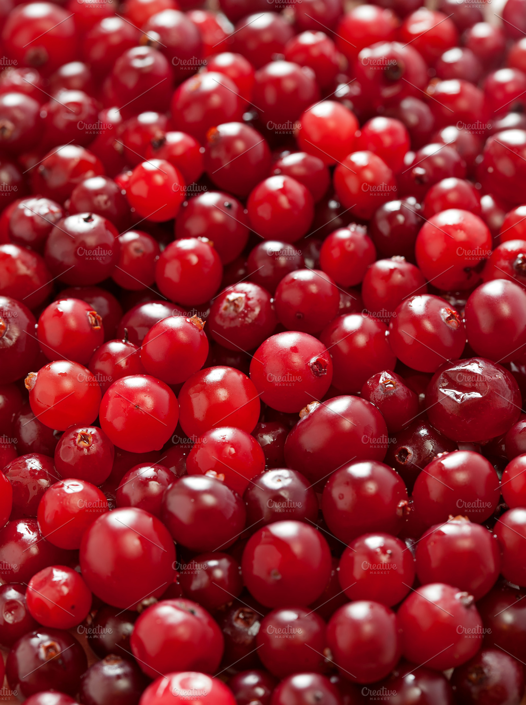 Cranberry Background