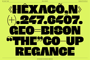 BN Giant, a Sans Serif Font by Bnick (Thumbnail 13 of 19)