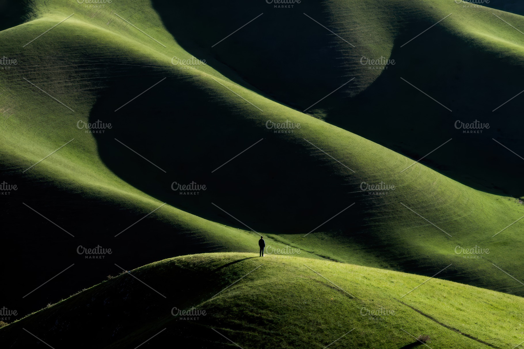 Solitary Man on Rolling Green Hills, a Nature Photo by Virgo Studio
