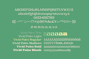 Vivid Palm | Display Font, a Serif Font by Lemonthe (Thumbnail 7 of 7)