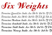 Bodoni Terracina Full Family 6 Fonts, a Script Font by California Type Foundry (Thumbnail 5 of 10)