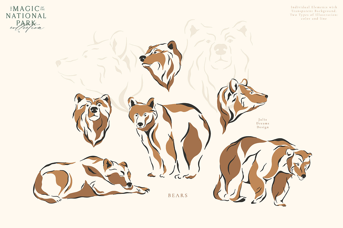 The Magic of the National Park, an Animal Illustration by Julia Dreams