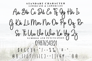 Weather Summer, a Handwritten Font by FreshTypeINK (Thumbnail 8 of 8)