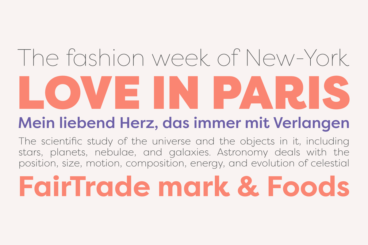 Filson Pro Font Family (16 fonts) preview 2