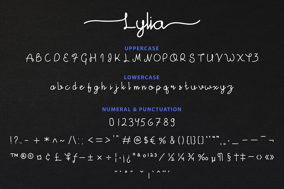 Lylia - Stylish Script Font, a Script Font by Inventype Studio (Photo 4 of 9)