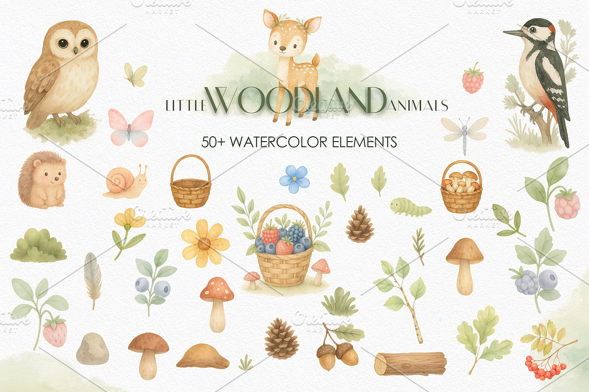 Woodland Animals Watercolor, an Animal Illustration by Ana-Sakuta (Photo 8 of 10)