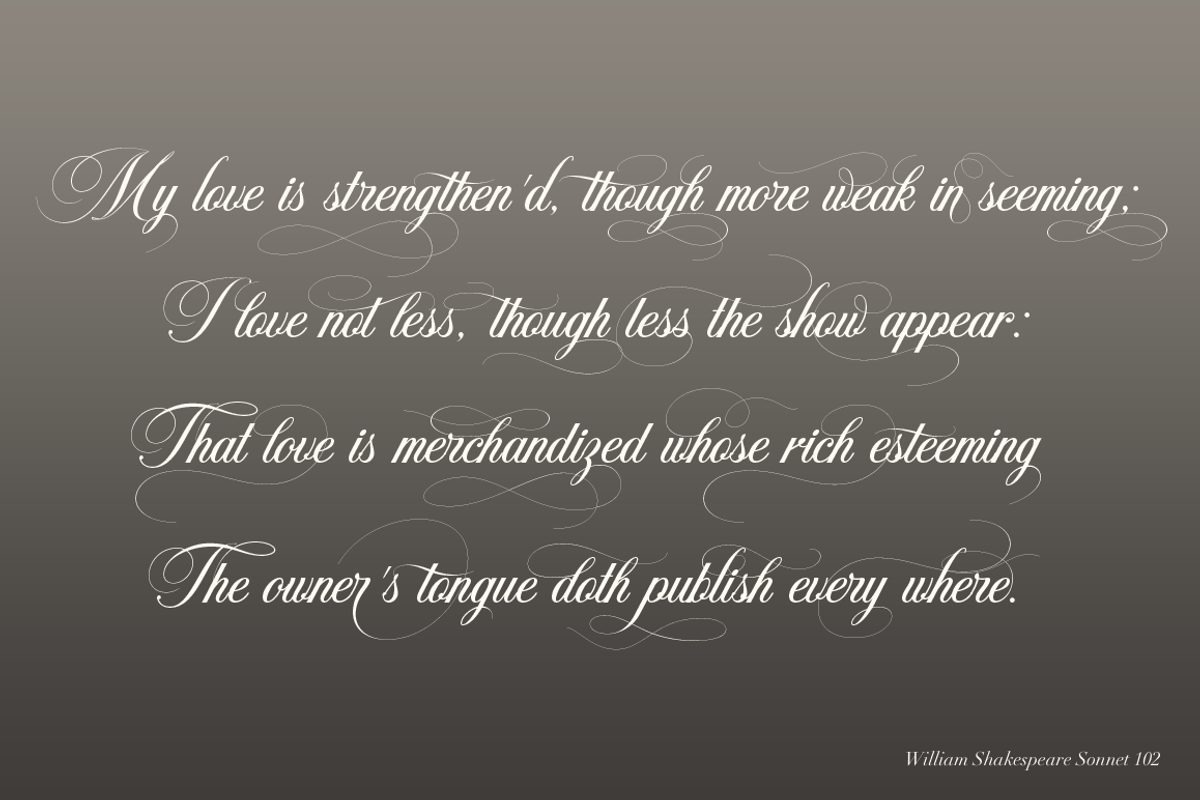Armstrong, a Script Font by Larin Type Co. (Photo 10 of 15)