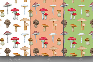 Forest Collection / Pattern Design