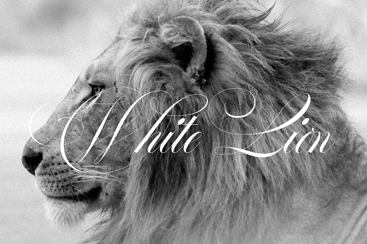 White Cold | Old And Elegant, a Script Font by Alcode (Photo 11 of 14)