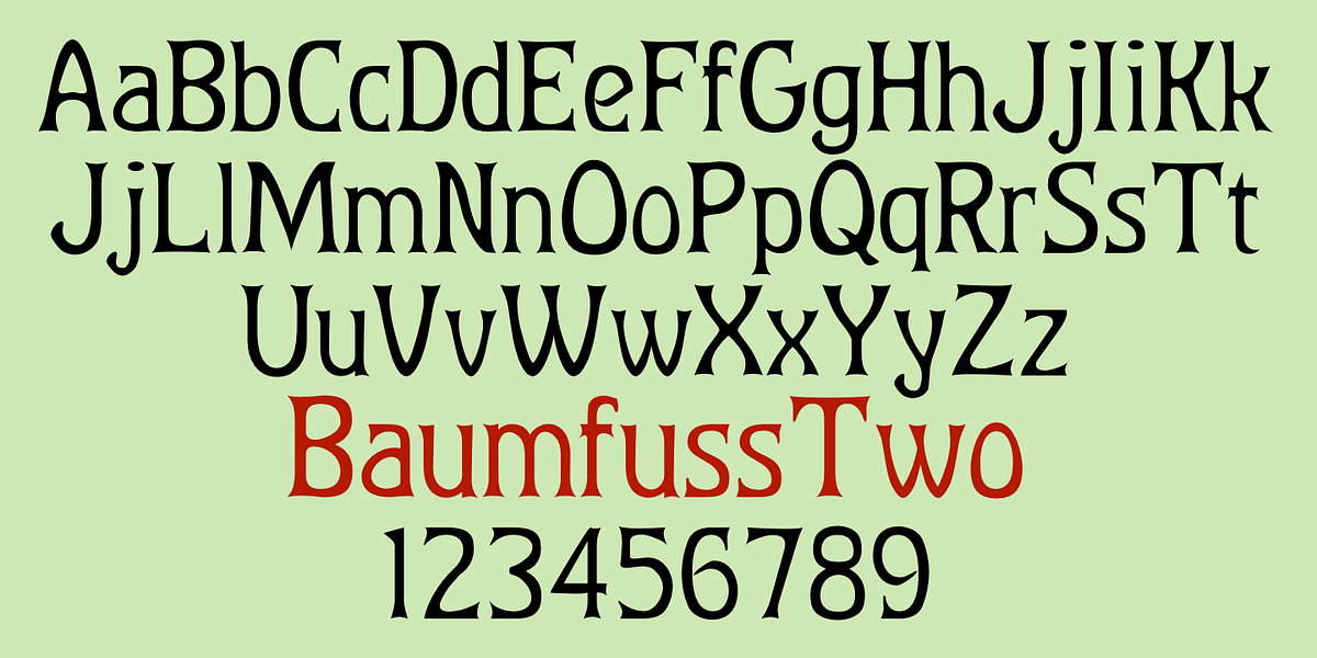 Baumfuss, a Serif Font by Ingrimayne Type (Photo 4 of 7)