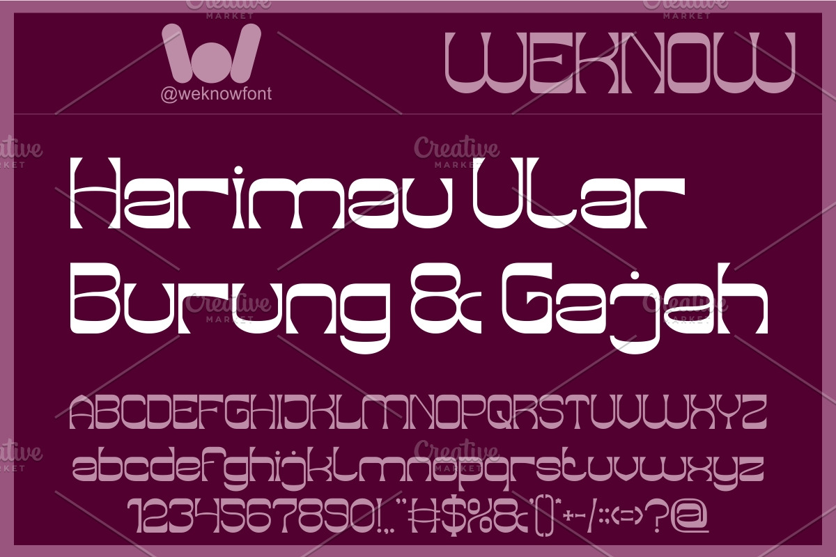 Endangered Beauty font, a Sans Serif Font by weknow (Photo 3 of 8)